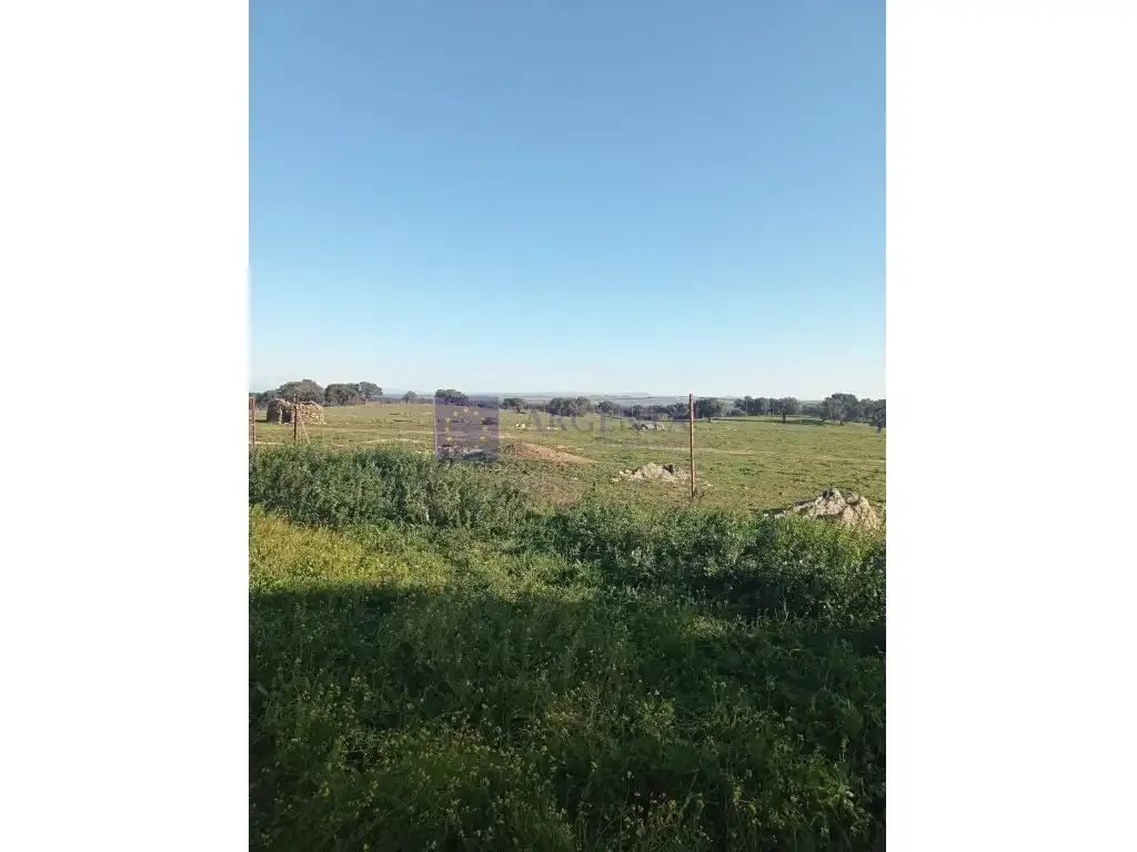 Casa en venta en Poligono 42 Paraje 180 Manzano, imagen 2