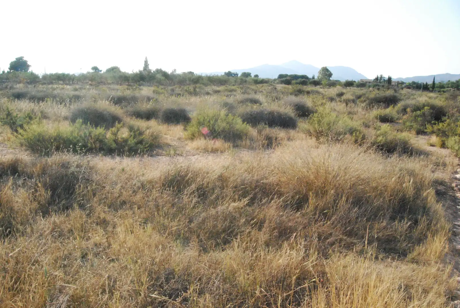 Rural land for sale in Villamontes - Boqueres, imagen 3