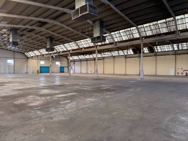 Nave industrial en Alquiler en Calle Río Segura, 11 en Ceutí