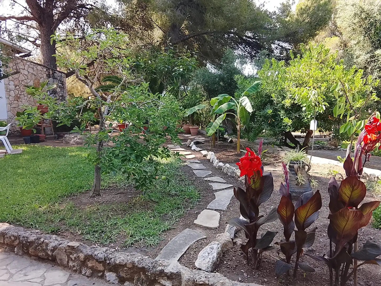 Villa avec piscine à vendre à MUNTANYA OLIVA-I, imagen 9