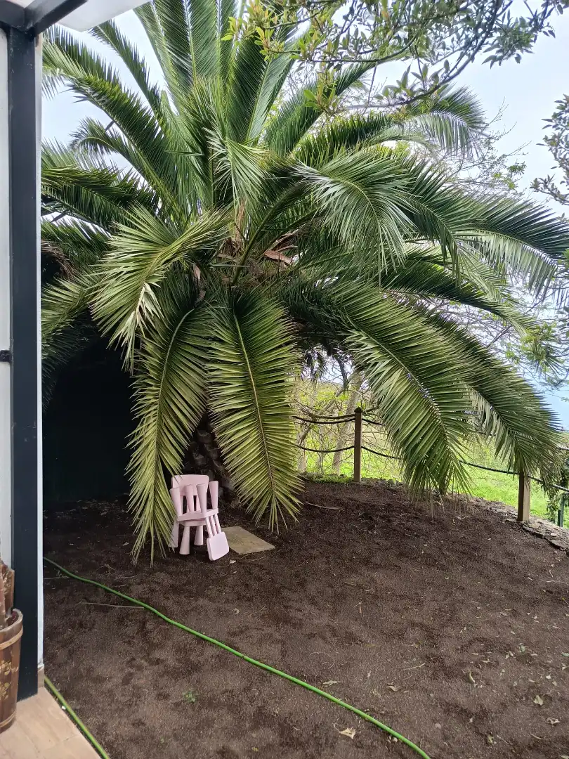Garden of Land for sale in Icod de los Vinos