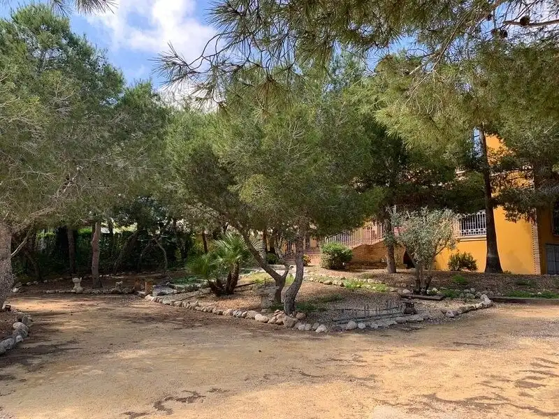 Casa o chalet en venta en Avenida , El Raso