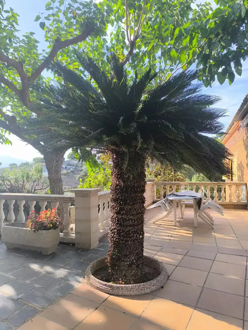 Chalet con piscina en venta en Mas Altaba - El Molí, imagen 52