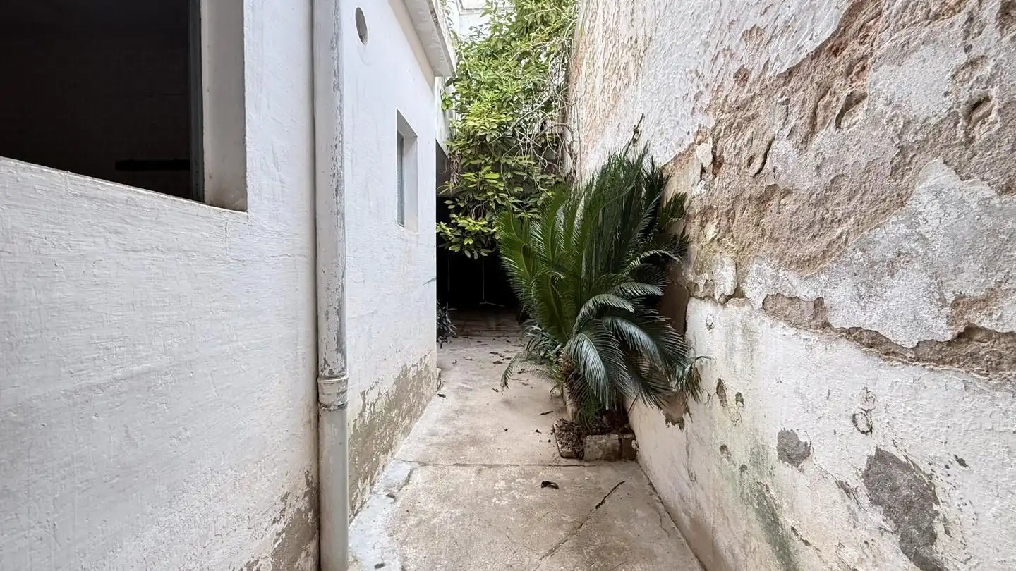 Vista exterior de Casa o xalet en venda en Carcaixent amb Jardí privat i Balcó