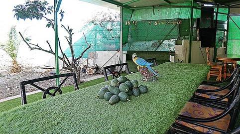 Photo 4 of Country house for sale in Camino Dehesa, 10, Santa María de Guía de Gran Canaria, Las Palmas