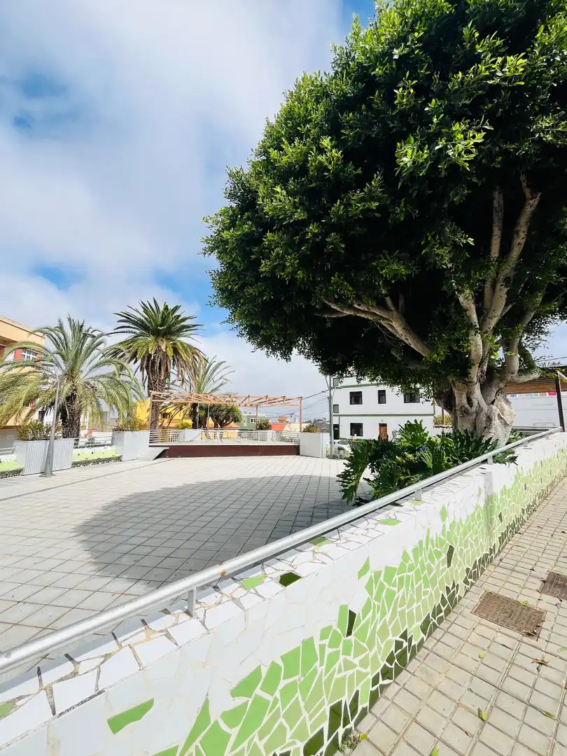 Business premises for sale in Moya (Las Palmas), imagen 2