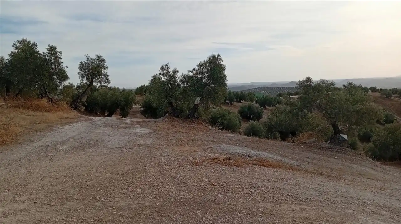 Wohnbaugrundstück zum Verkauf in Pajaro Verde, imagen 9