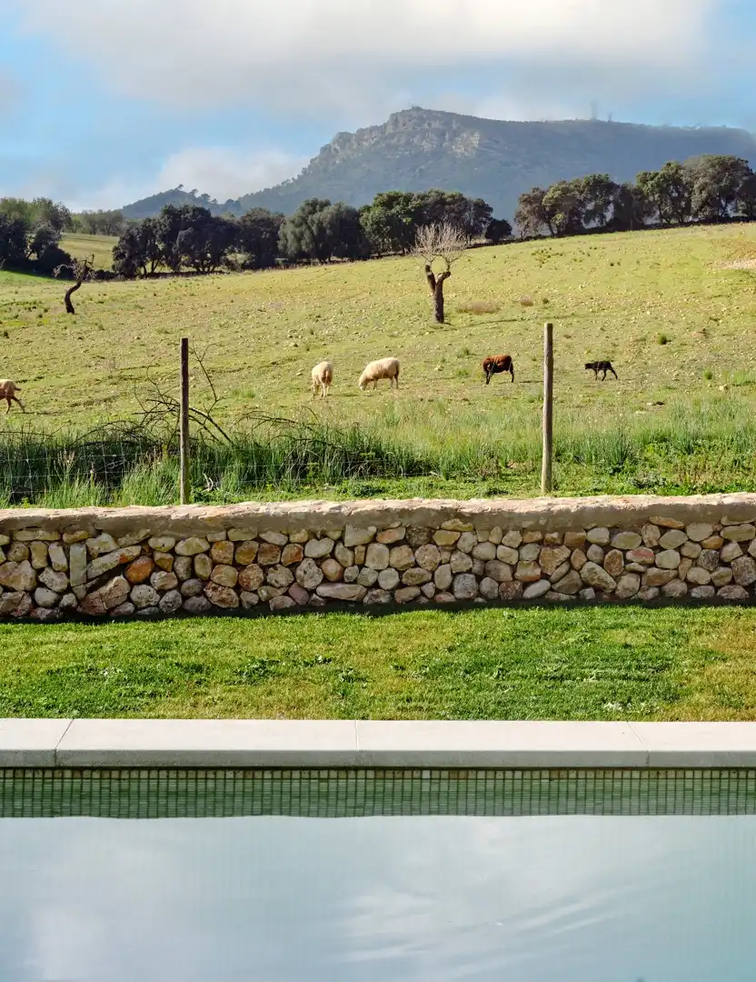 Jardí de Casa o xalet de lloguer en Algaida amb Aire condicionat, Calefacció i Jardí privat