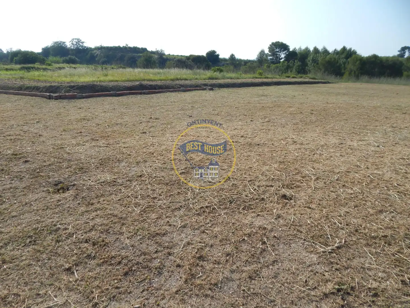 Terreno rustico in vendita a Albaida, imagen 4