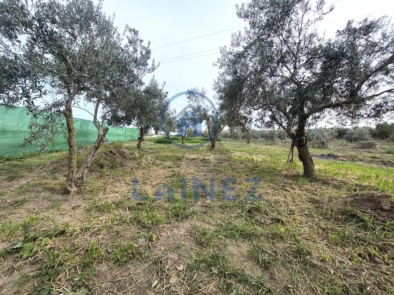 Residential for sale in Hinojosa del Duque
