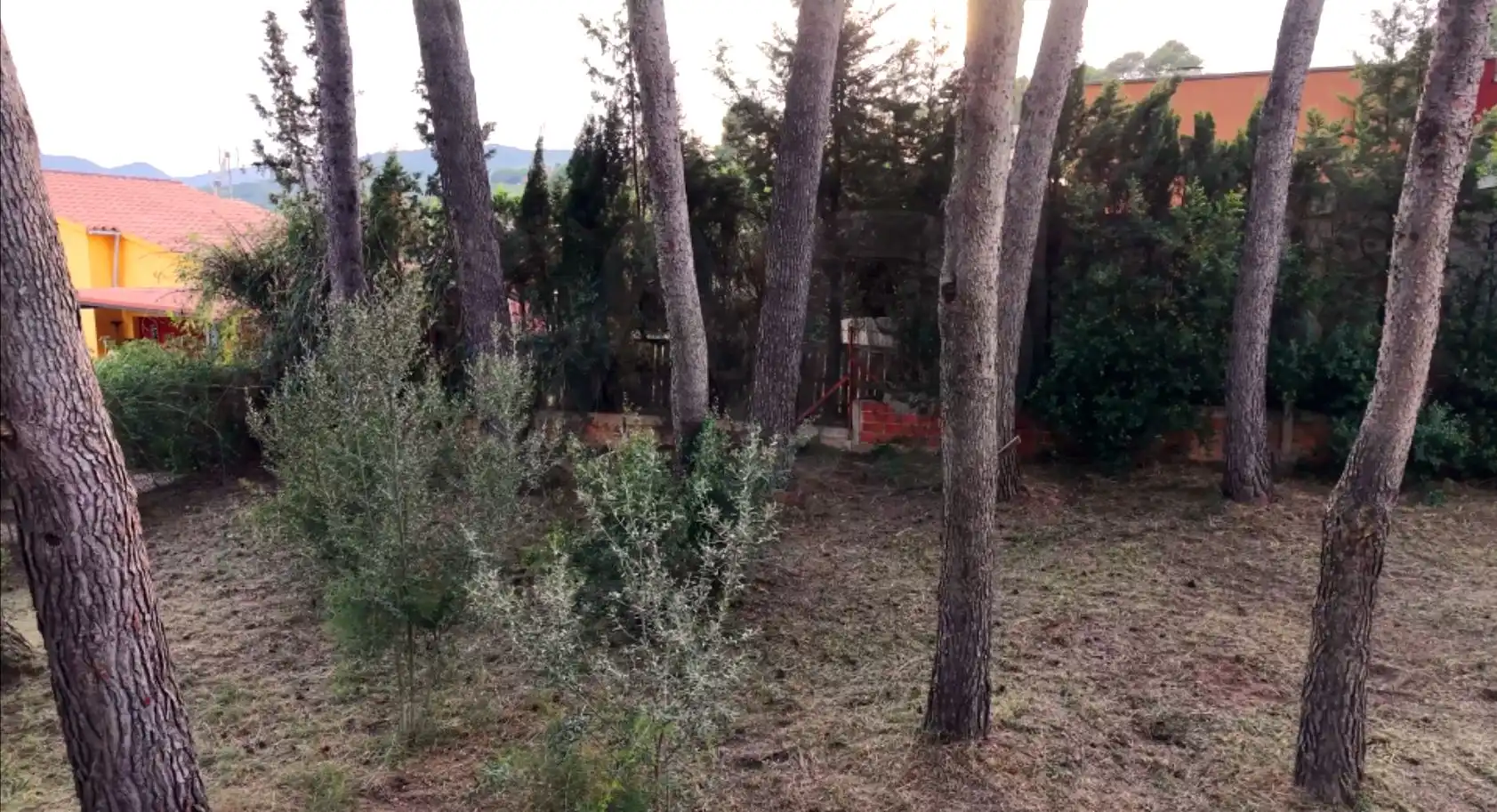 Jardí de Finca rústica en venda en Alcover amb Terrassa