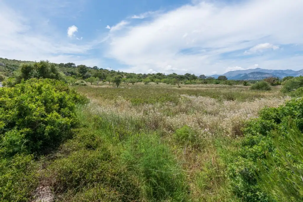 Land for sale in Ciutat d'Alcúdia