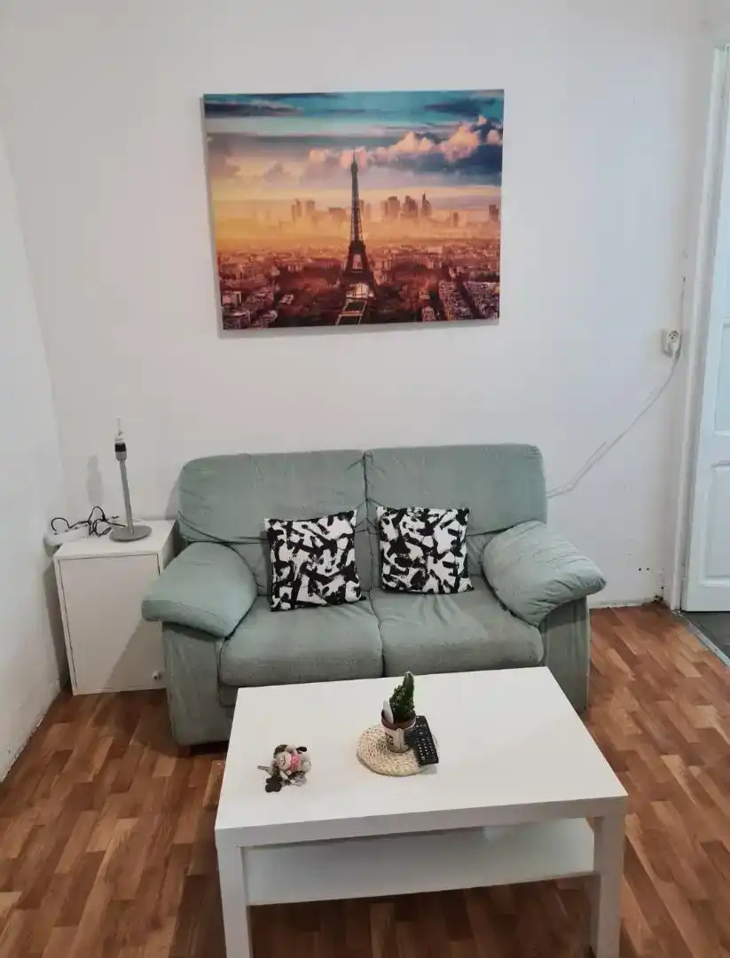 Living room of Flat for rent in Gràcia