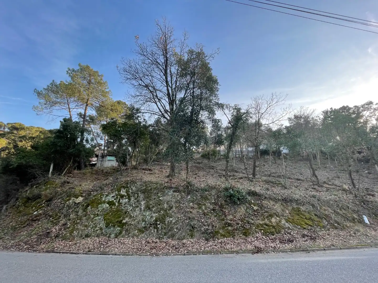 Terreny residencial en venda a Pi ric 205