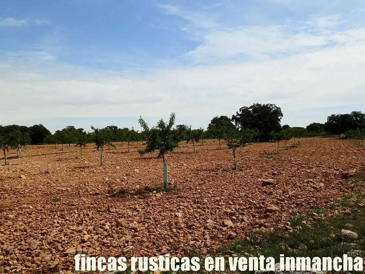 Terreni e lotti in vendita a Villarrobledo, imagen 6