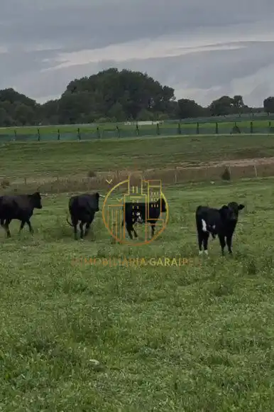 Rural land for sale in Murillo El Cuende, imagen 18