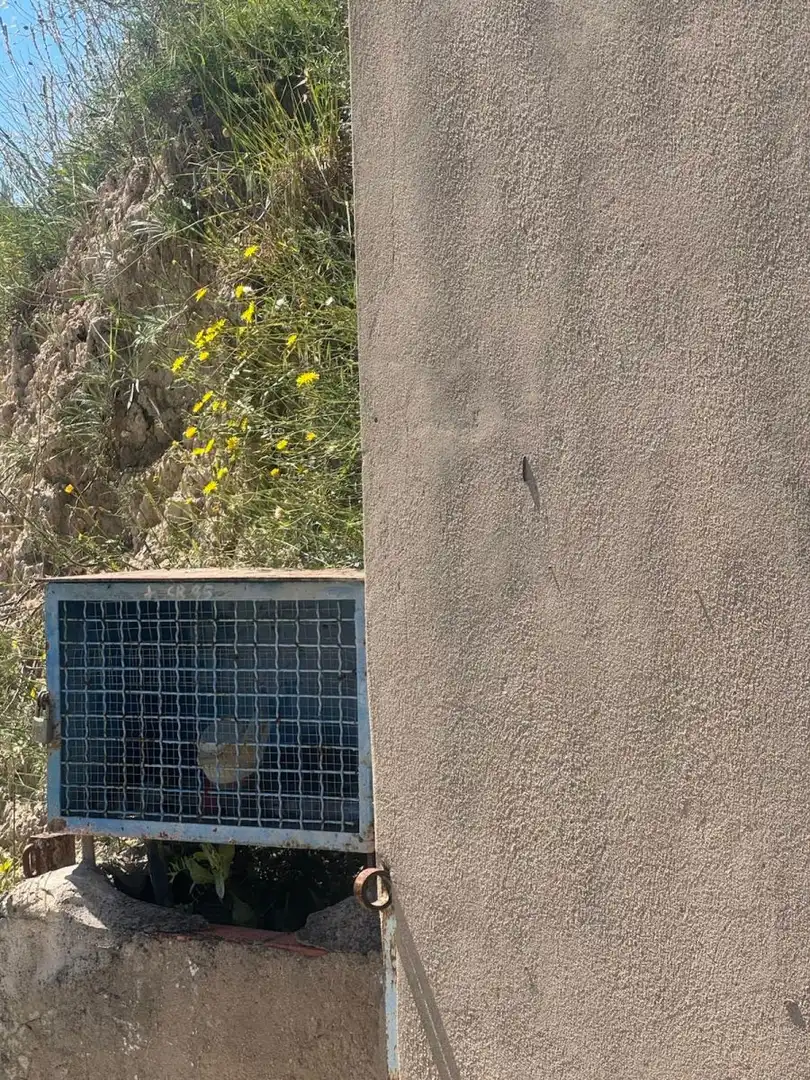 Maison rustique avec piscine à vendre à Albaida, imagen 34