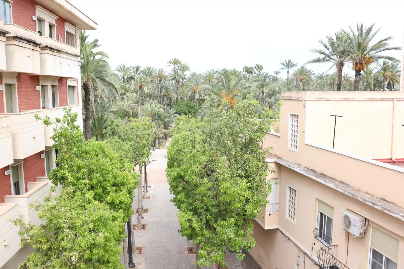 Exterior view of Flat for sale in Elche / Elx