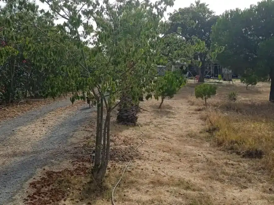 Finca rústica en venda en Lepe