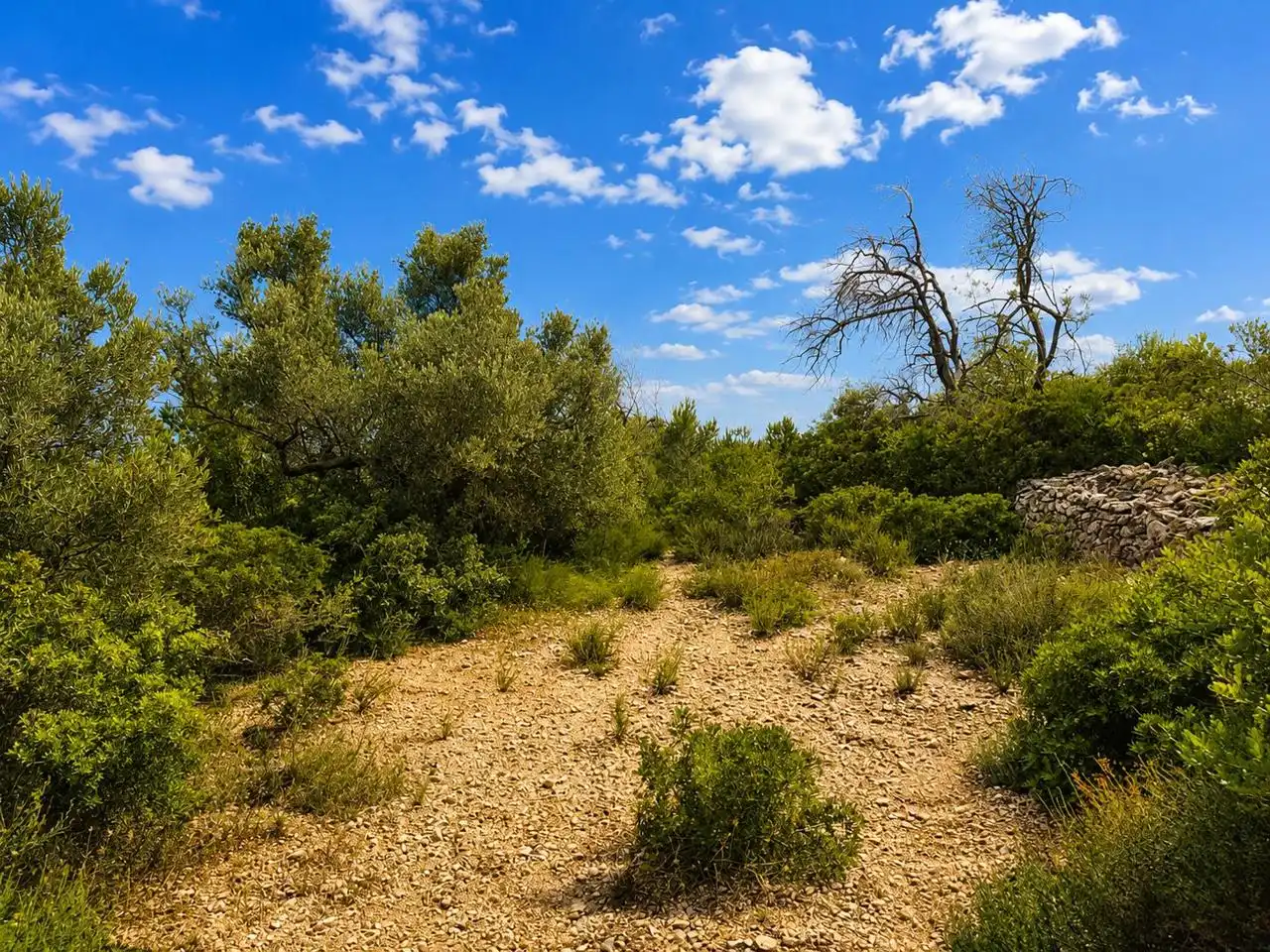 Country homes for sale in L'Ametlla de Mar   with Private garden and Terrace