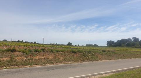 Foto 5 de Finca rústica en venda a Renau, Tarragona