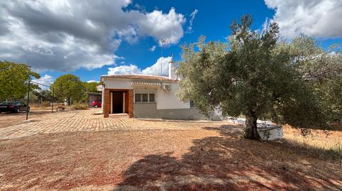 Foto 3 de Finca rústica de lloguer a A-6177, 18, Andújar, Jaén