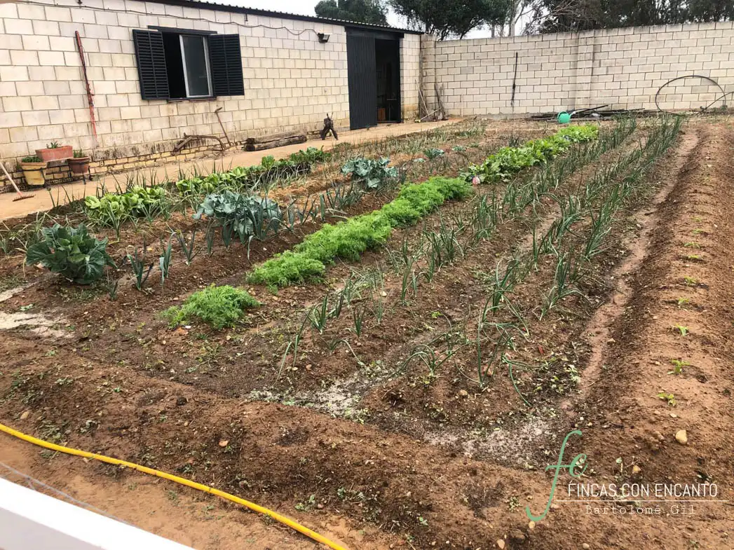 Casa amb piscina en venda a Oromana, imagen 35
