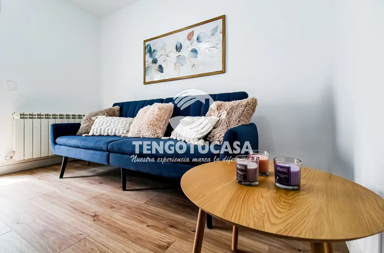Living room of Flat for sale in  Madrid Capital  with Heating, Terrace and Furnished