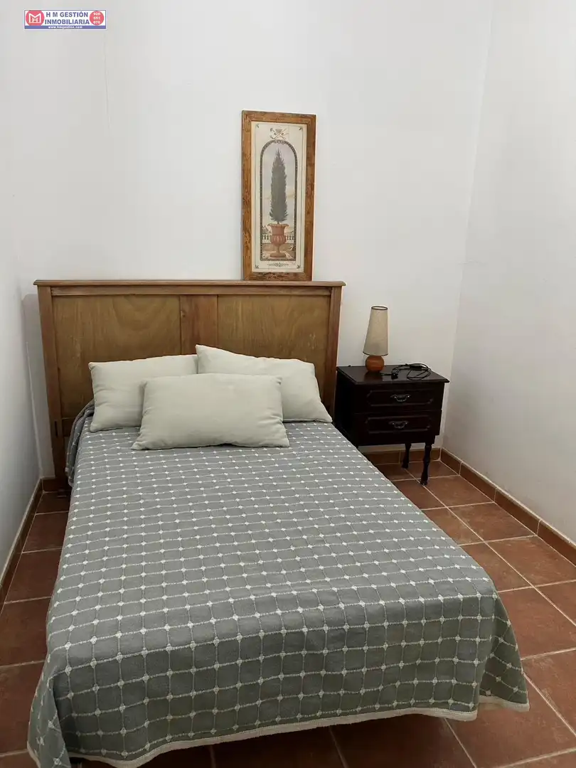 Chalet con piscina en venta en Alcázar de San Juan, imagen 11