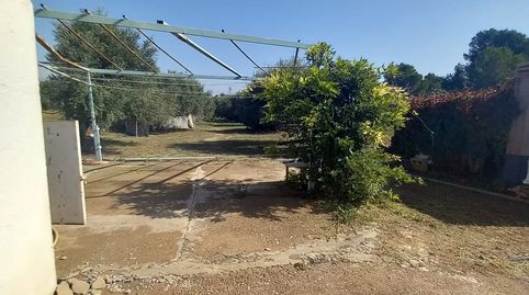 Foto 4 de Finca rústica en venta en Poble, Mont-roig del Camp