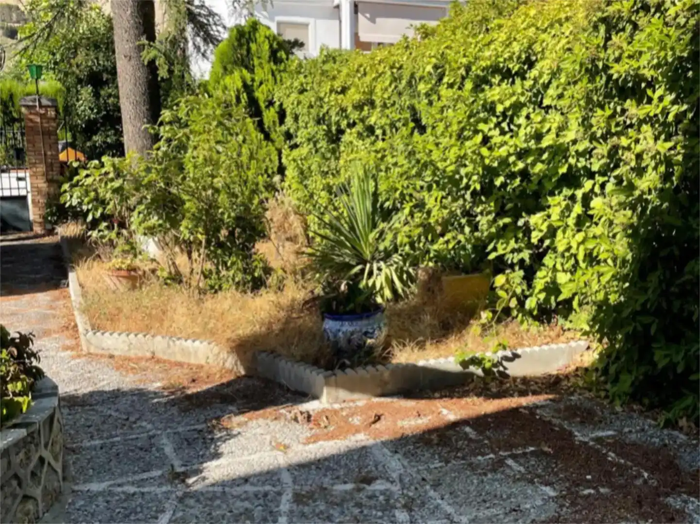 Jardín de Casa o chalet en venta en Alfacar con Piscina