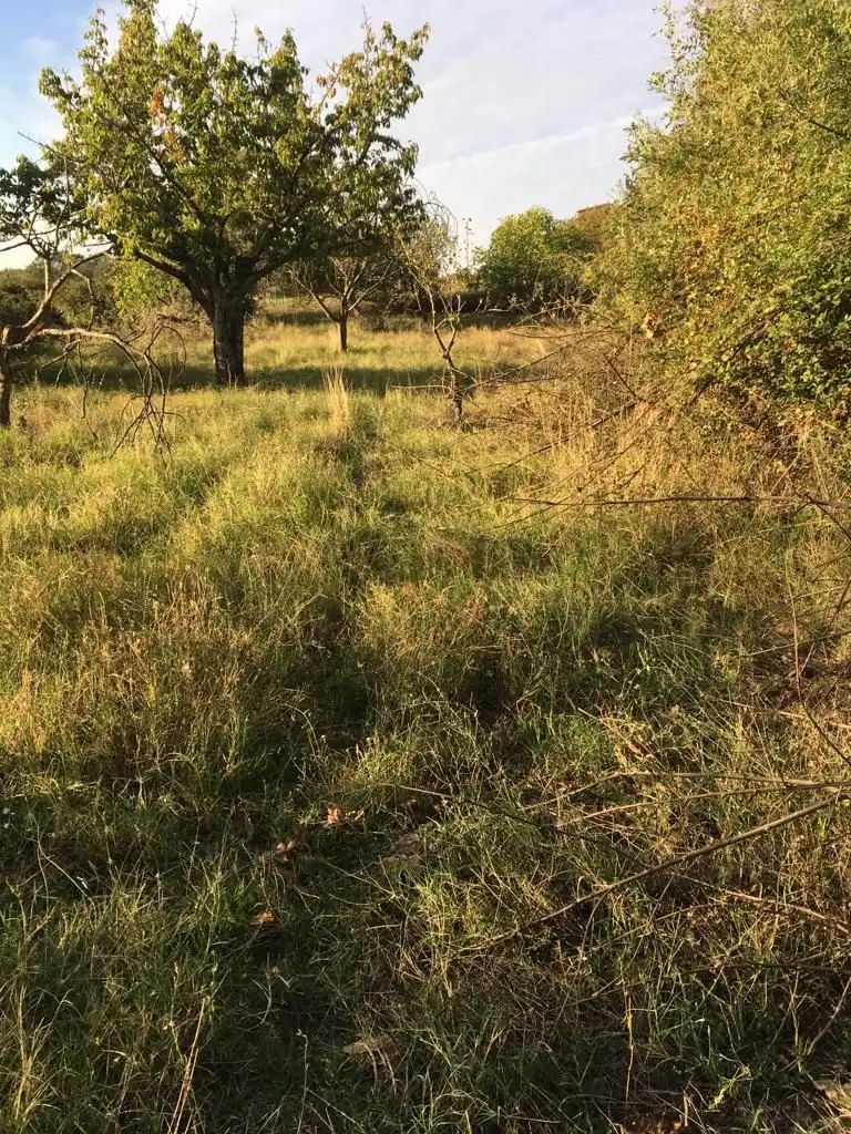 Terreni e lotti in vendita a Aldeanueva de la Vera, imagen 4
