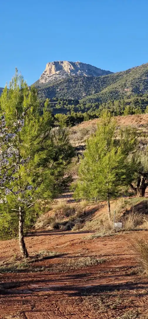 Casa o chalet en venta en Aledo