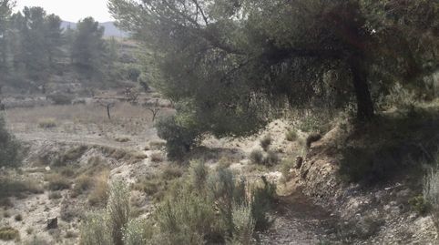 Parcela en venta en Tibi, Alicante