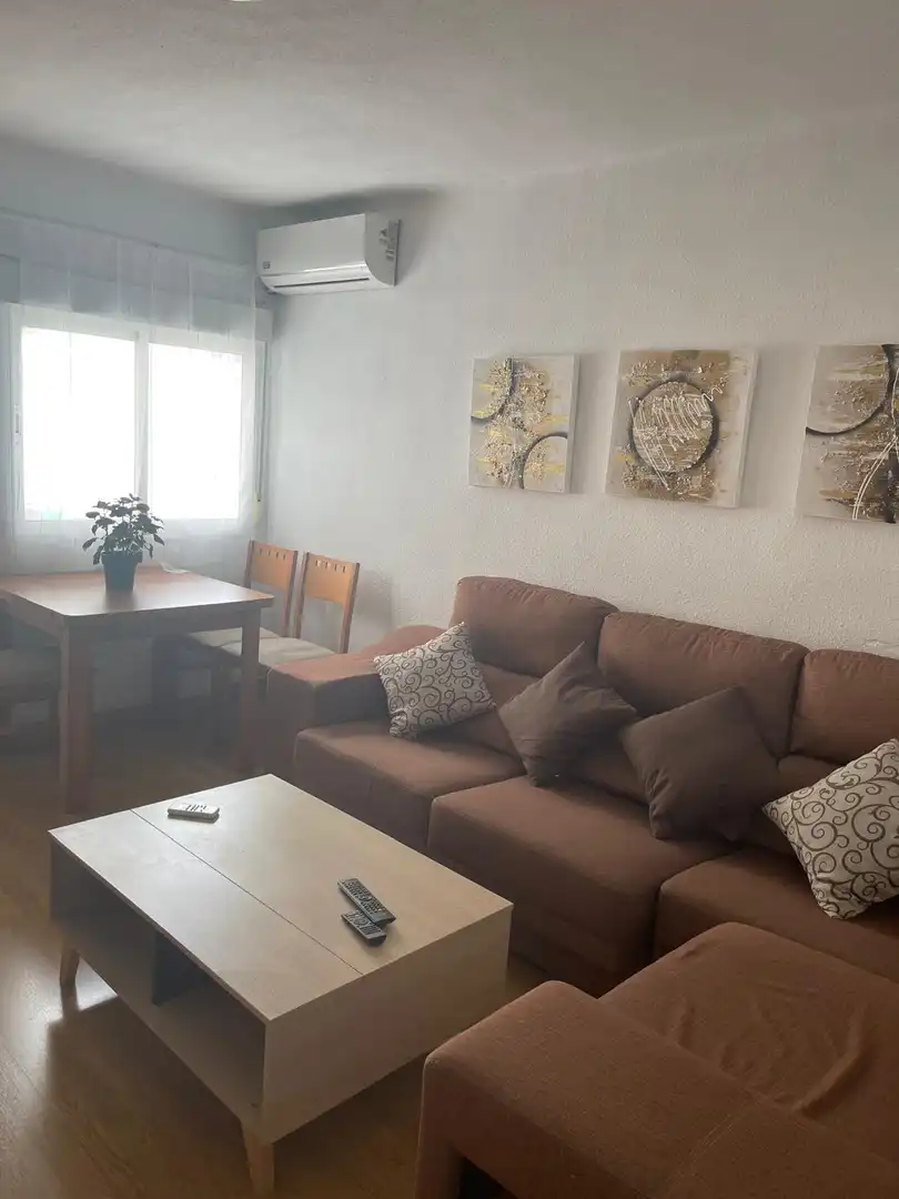 Sala d'estar de Pis de lloguer en Alicante / Alacant amb Moblat, Rentadora i TV