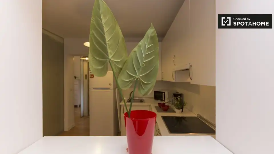 Appartement à louer à Latina, imagen 6