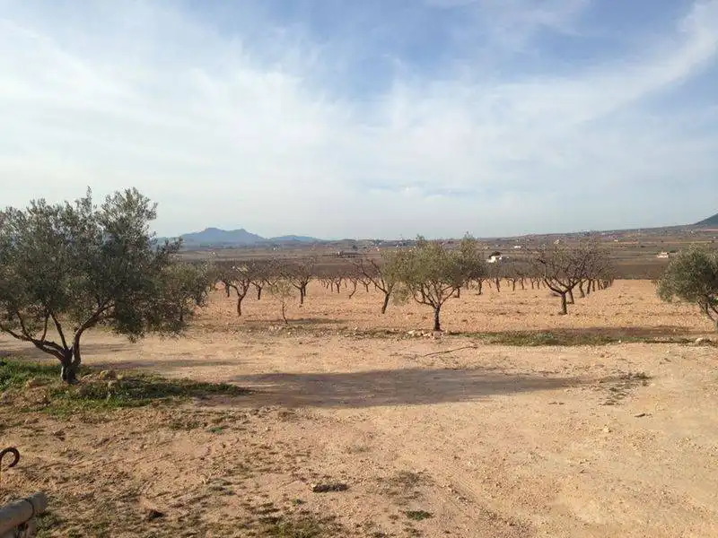 Landhaus zum Verkauf in El Pinós / Pinoso, imagen 4