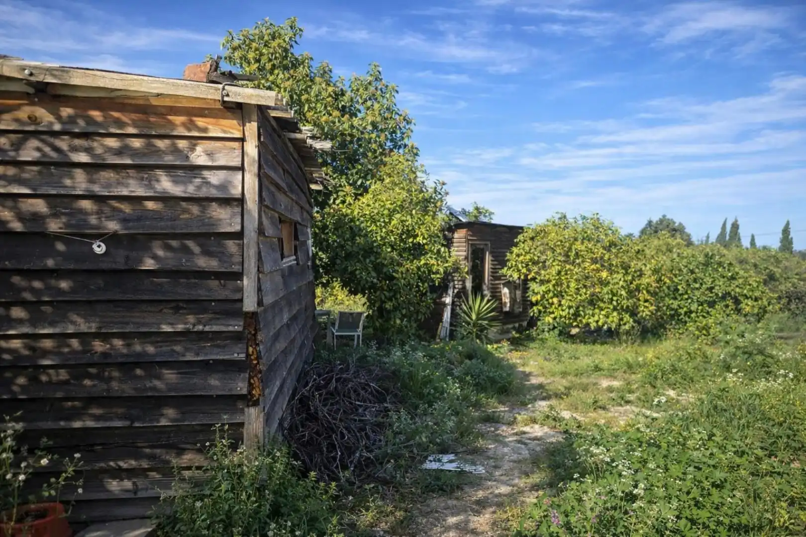Rural land for sale in Carrer Trinquet 7, imagen 4