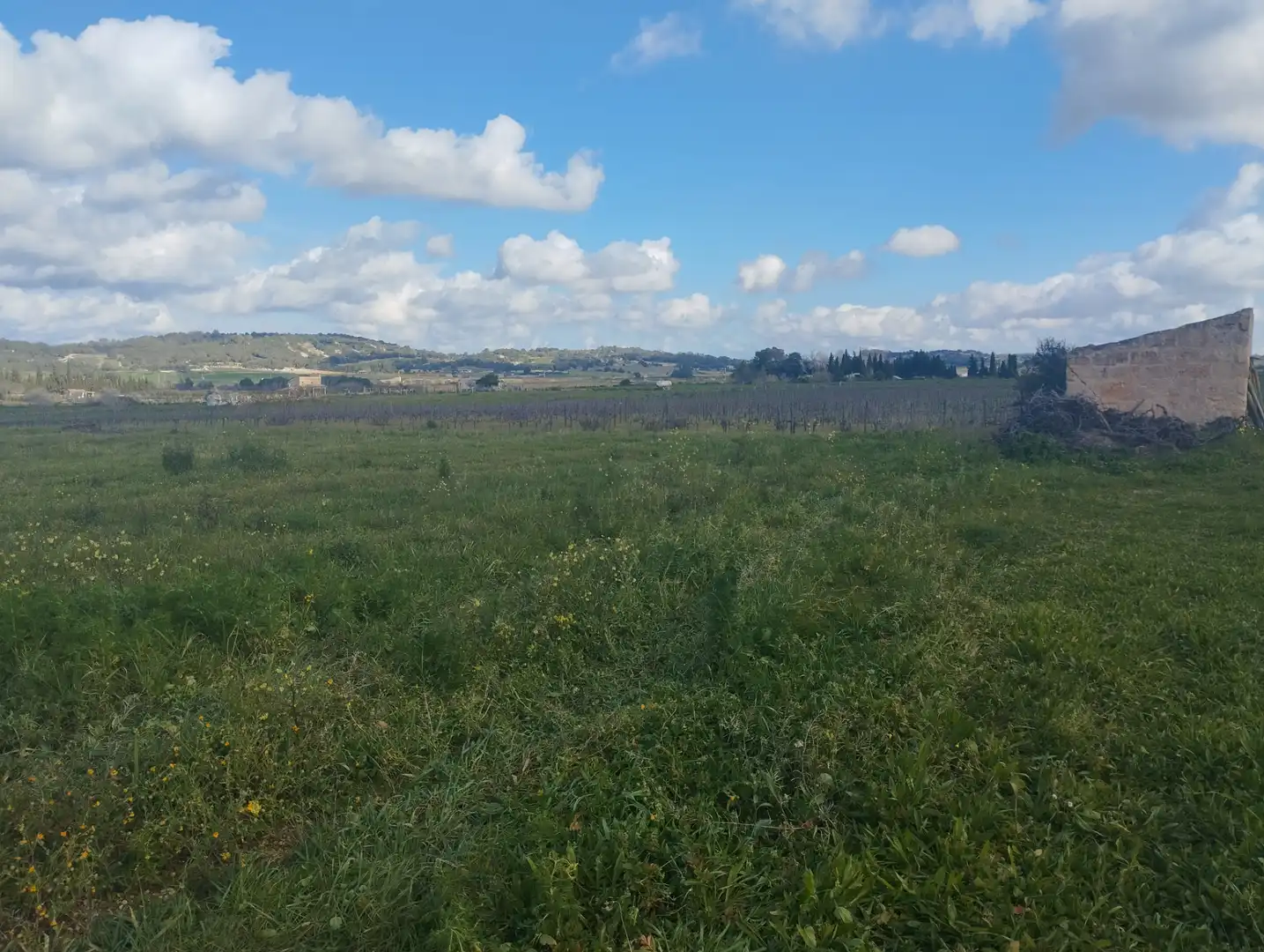 Terrain résidentiel à vendre à Algaida, imagen 2