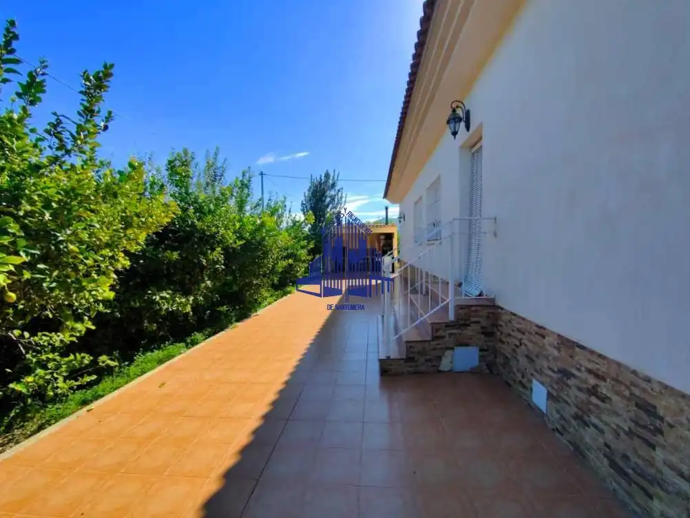 Vista exterior de Casa o chalet en venta en Murcia con Jardín privado, Terraza y Horno