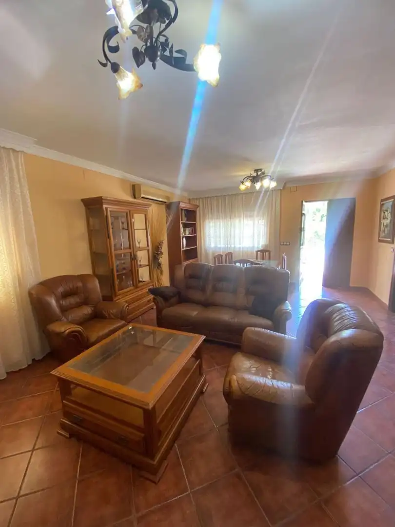 Sala d'estar de Casa o xalet en venda en Málaga amb Traster