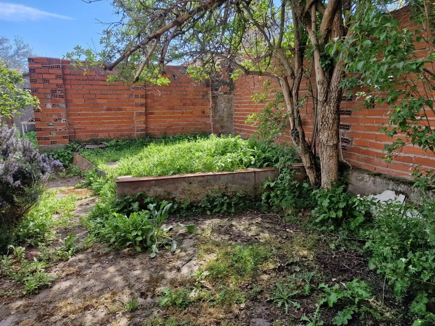 Garten von Country house zum Verkauf in Montamarta