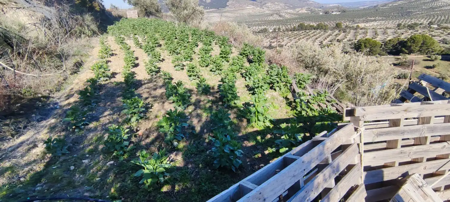Casa rústica en venda a Puente Jontoya - Puente de la Sierra - El Arroyo, imagen 8