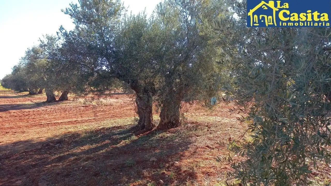 Terrenys i solars en venda a Almagro, imagen 7