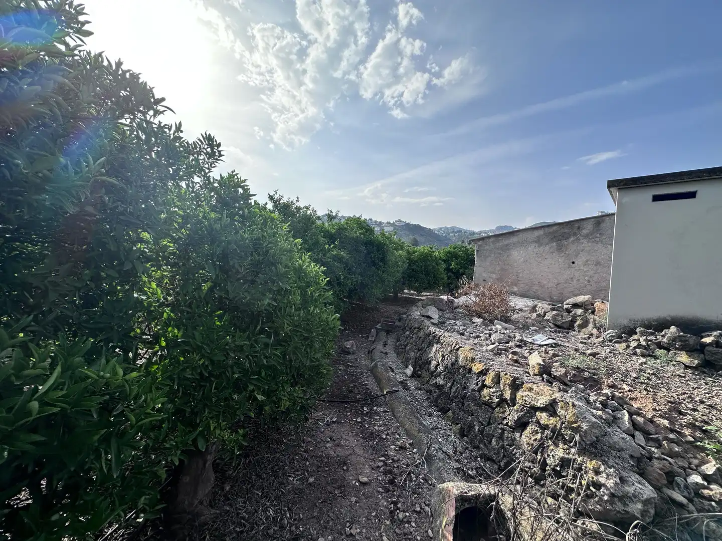 Terreno rustico in vendita a Pego, imagen 17