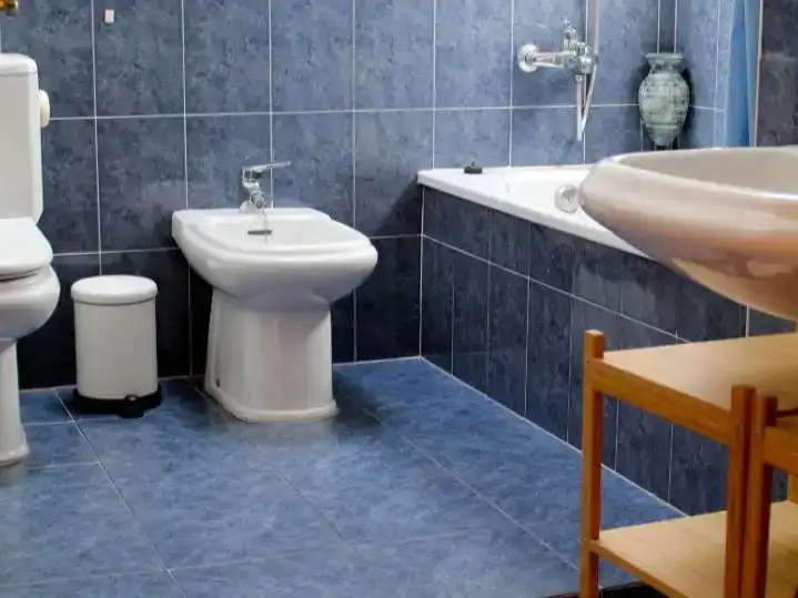 Badezimmer von Wohnung zur Miete in Camprodon mit Parkett, Möbliert und Balkon