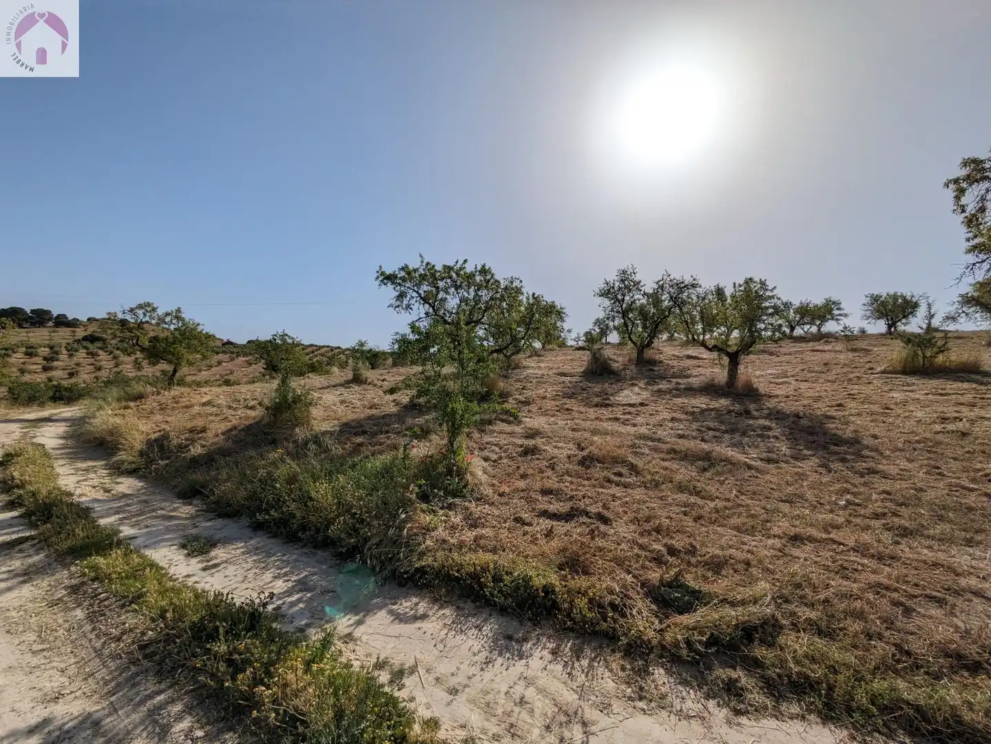 Residential land for sale in EXTRARRADIO, imagen 5