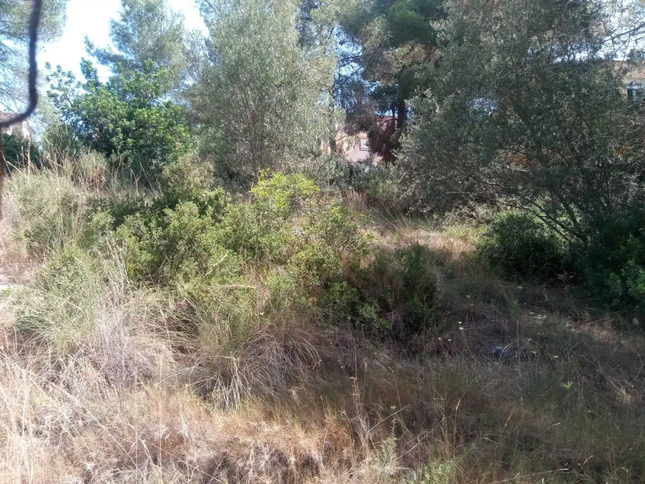 Wohnbaugrundstück zum Verkauf in Calle catorce 358, imagen 12