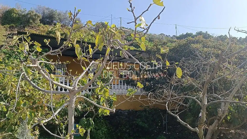 Vista exterior de Casa o chalet en venta en Torrox con Terraza, Amueblado y Horno