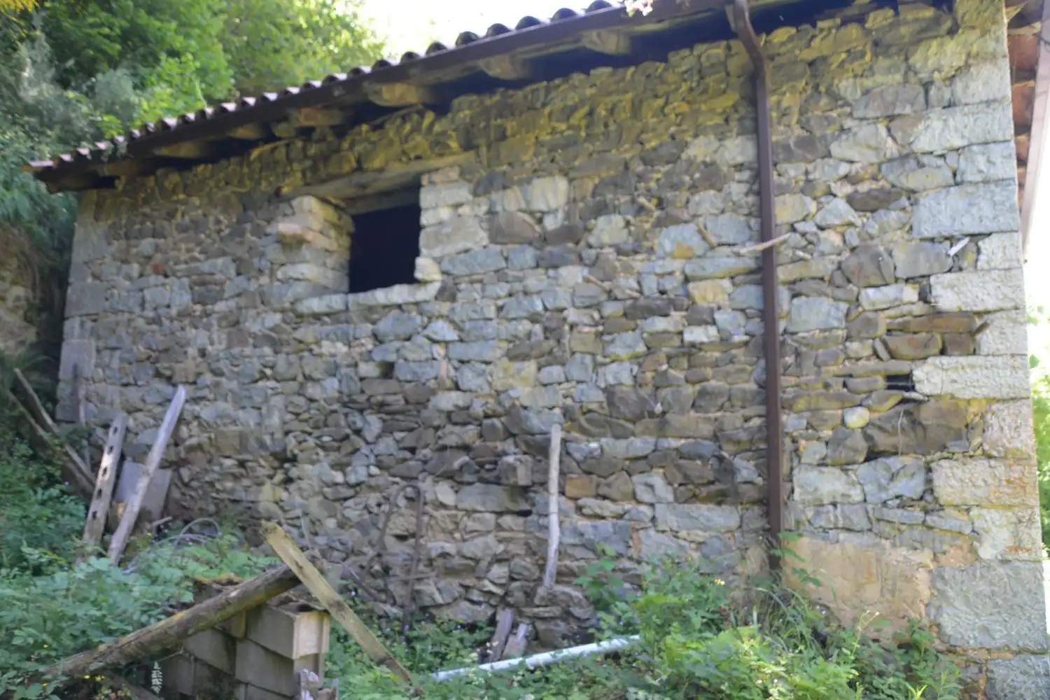 Houses for sale in Oseja de Sajambre
